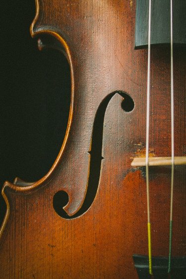 ViolinCloseUP375x563 U